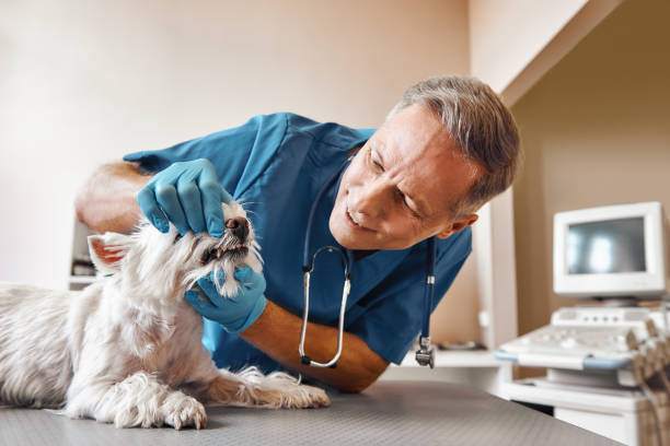  Manistee, MI Emergency Dentist Pros